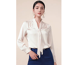女商务时装  普通衬衫