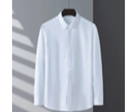 女款商务时尚免烫衬衫长短袖成衣