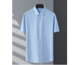 男款商务时尚普通衬衫长短袖成衣