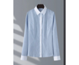 女款商务时尚普通衬衫长短袖成衣