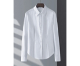 女款商务时尚欧版液氨免烫衬衫长短袖成衣